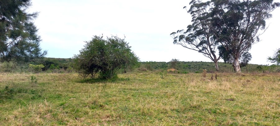 5 Bedroom Property for Sale in Kwelera Eastern Cape